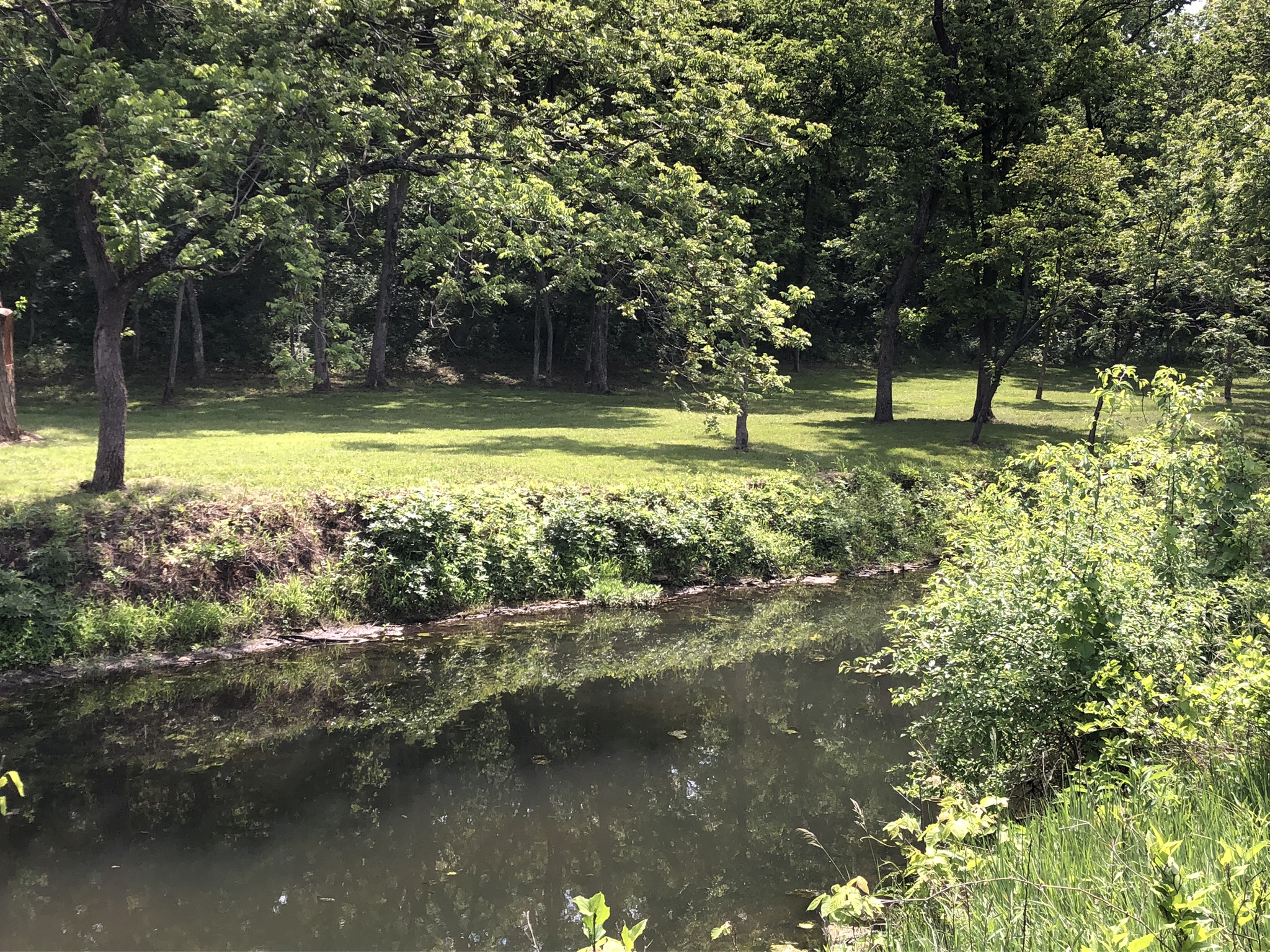 Kill Creek at Hidden Timber Farm horse pasture boarding